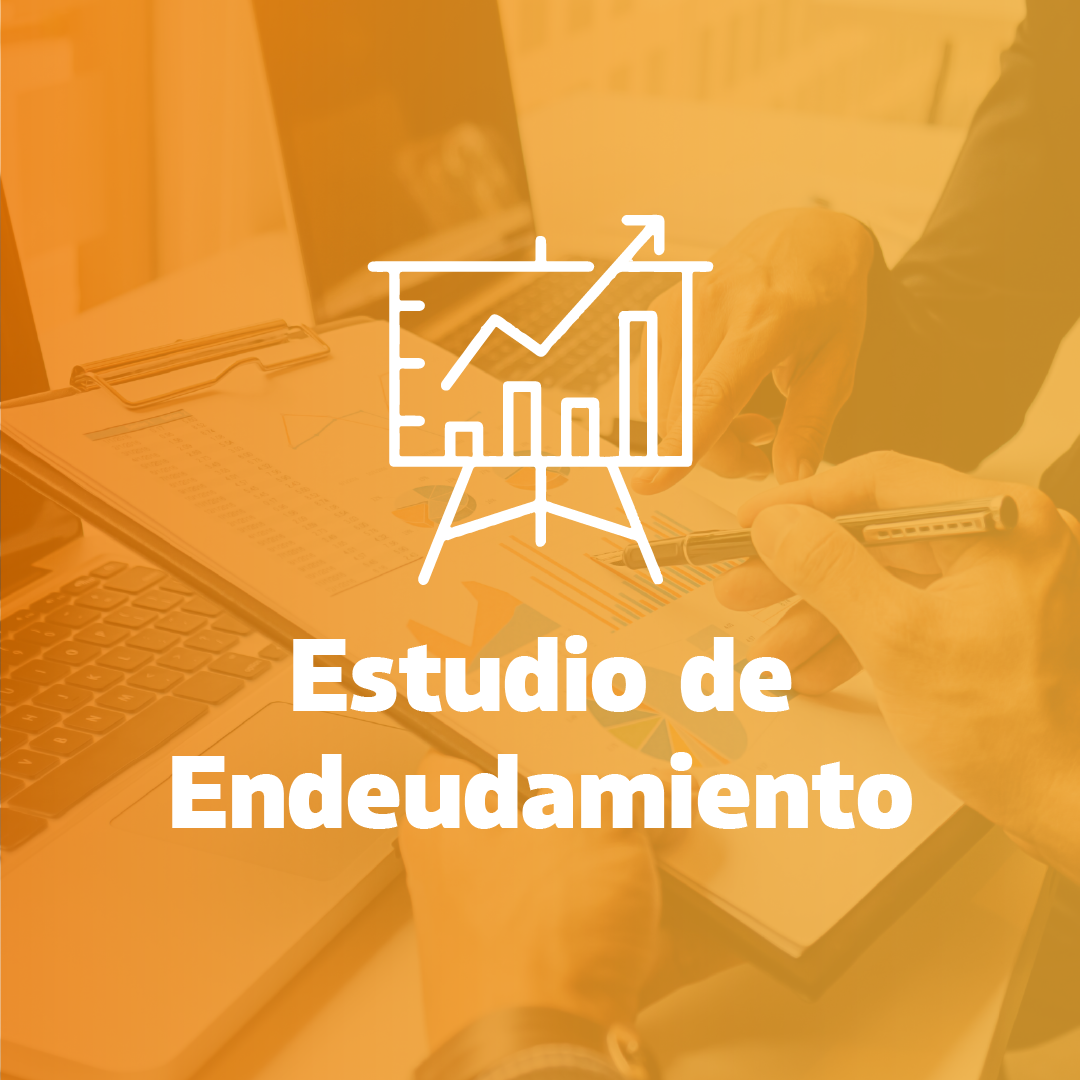 Estudio de Endeudamiento Análisis del nivel del endeudamiento de los colaboradores de una empresa