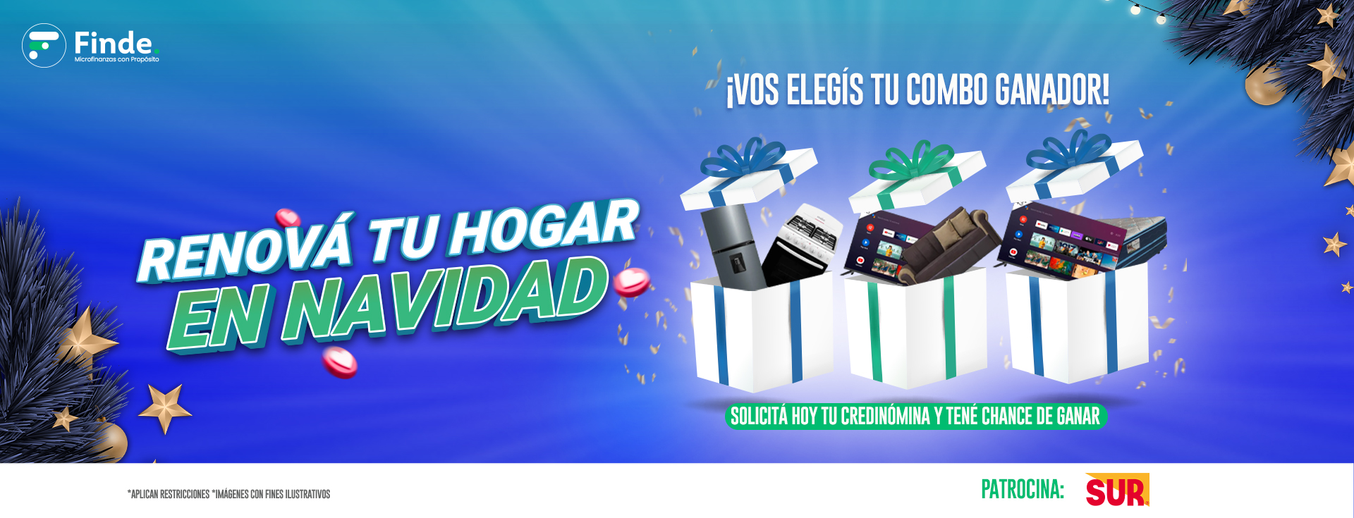 portada renova copia